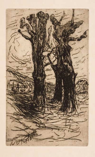 Dos Castaños de Floris Verster
